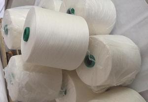 毛腈混紡紗21支 特性、應用與市場前景